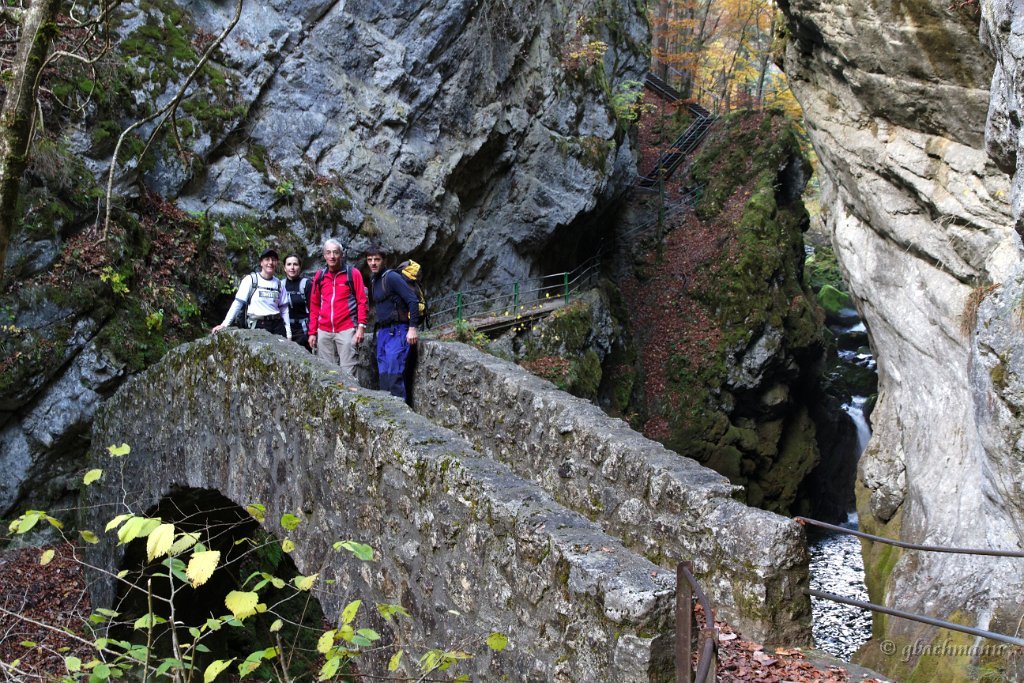 20101030_081